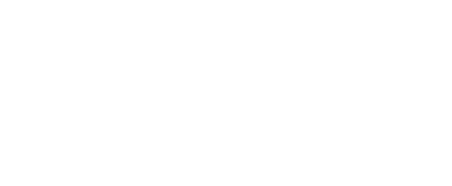 StereoGraphic Production